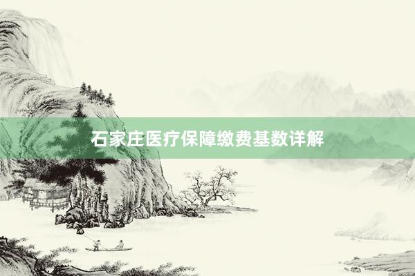 石家庄医疗保障缴费基数详解