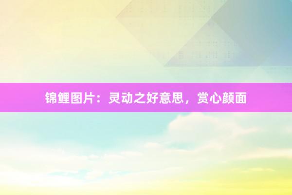 锦鲤图片：灵动之好意思，赏心颜面